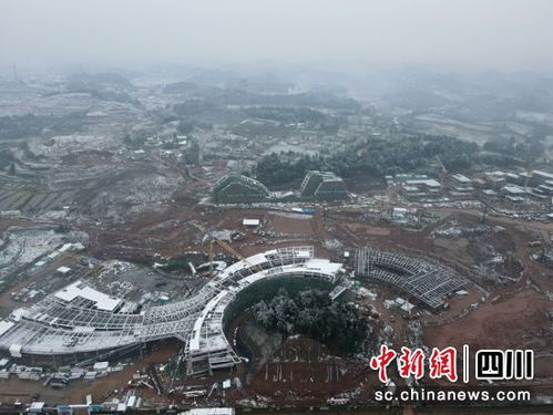 眉山东部新城 三中心一基地 建设稳步推进