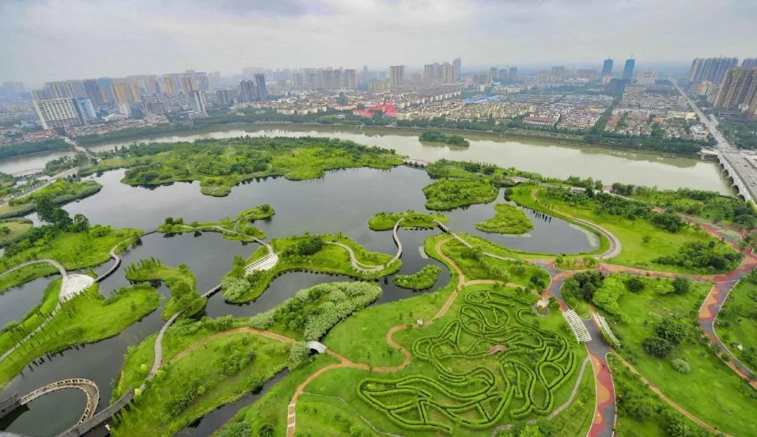 快来建设绿色校园,为生态眉山添绿~