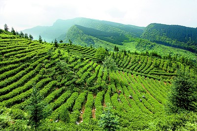 眉山“城市阳台”景如画 “东坡味道”香又远
