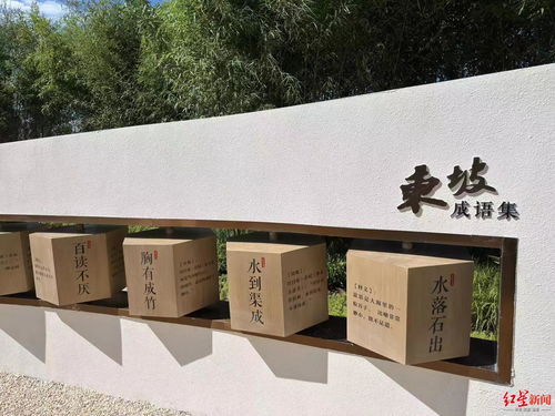 东坡诗词入花境,明月映竹展家风 2023成都花展眉山展园荣获两项大奖