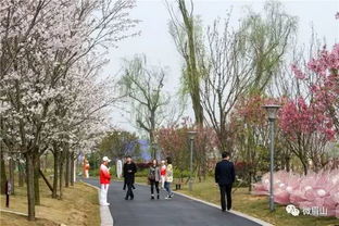 收下这份眉山最新 赏花地图 攻略 春日赏花踏青不用愁