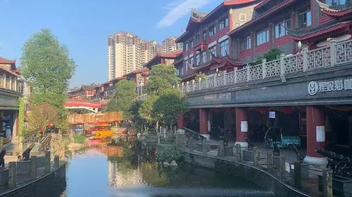 当灯火褪去,眉山网红 东坡水街 只剩寂寞