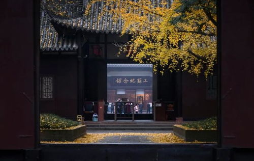 苏轼,生辰快乐