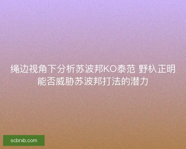 绳边视角下分析苏波邦KO泰范 野杁正明能否威胁苏波邦打法的潜力